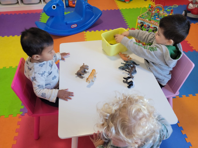Keeping Learning Alive: Preventing Summer Regression in Preschoolers